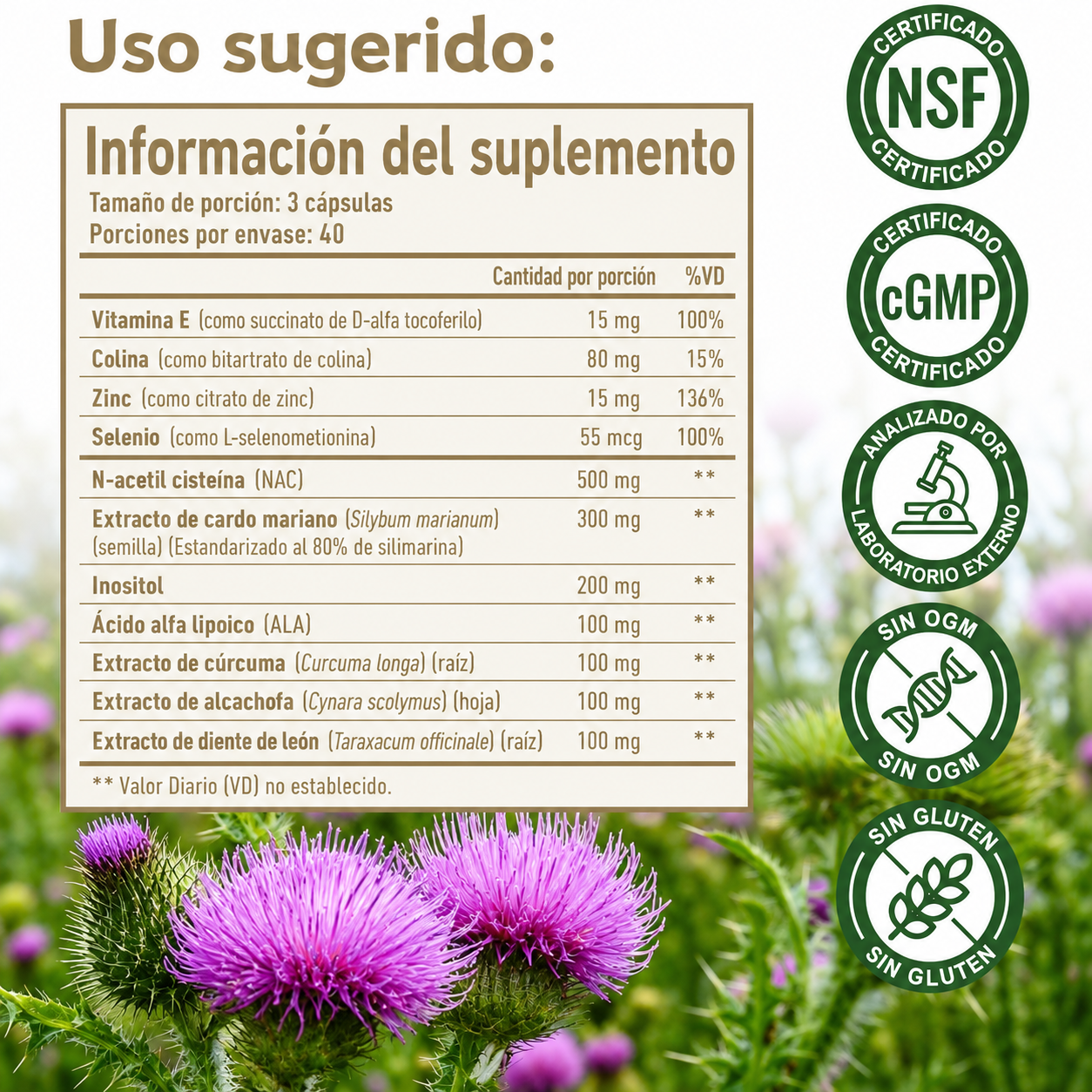 Formula Hepática 11 en 1 — Cardo Mariano 80% + NAC