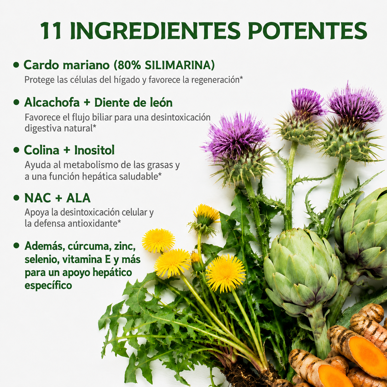 Formula Hepática 11 en 1 — Cardo Mariano 80% + NAC
