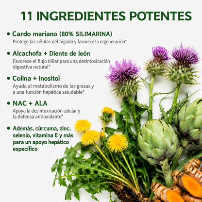 Formula Hepática 11 en 1 — Cardo Mariano 80% + NAC